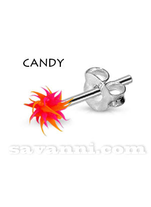 Silverörhänge Taggkula