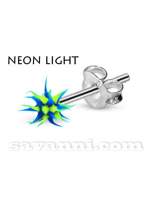 Silverörhänge Taggkula