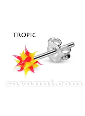 Silverörhänge Taggkula