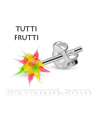 Silverörhänge Taggkula