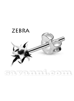 Silverörhänge Taggkula