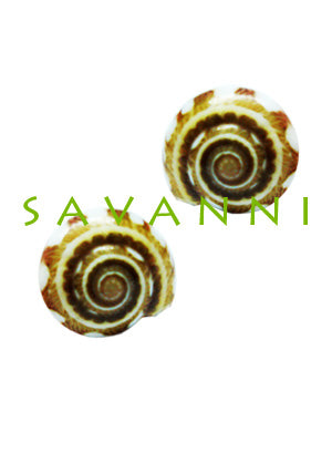 Silverörhänge Havssnäcka