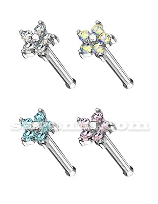 Nässmycke Rakt Färgrig Zircon Blomma Liten Kula